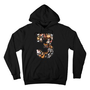 3rd Birthday Dog Lovers 3 Year Old Party Hoodie