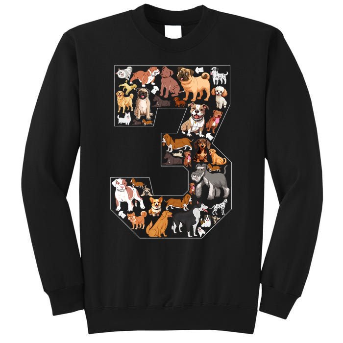 3rd Birthday Dog Lovers 3 Year Old Party Sweatshirt