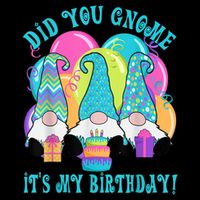 3 Birthday Gnomes Did You Gnome It's My Birthday Balloons Cooling Performance Crew T-Shirt