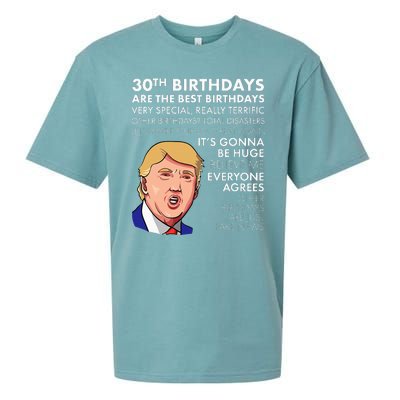 30th Birthday Gift Funny Trump Quote Sueded Cloud Jersey T-Shirt