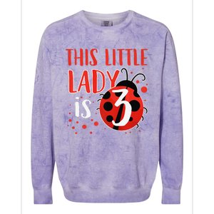 3rd Birthday Ladybug Cute Gift For Three Years Old Premium Colorblast Crewneck Sweatshirt