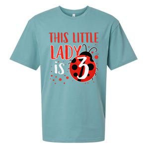 3rd Birthday Ladybug Cute Gift For Three Years Old Premium Sueded Cloud Jersey T-Shirt