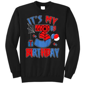 3rd Birthday Spider Web Theme Party Three 3 Year Bday Sweatshirt