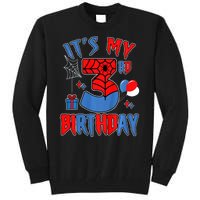 3rd Birthday Spider Web Theme Party Three 3 Year Bday Tall Sweatshirt