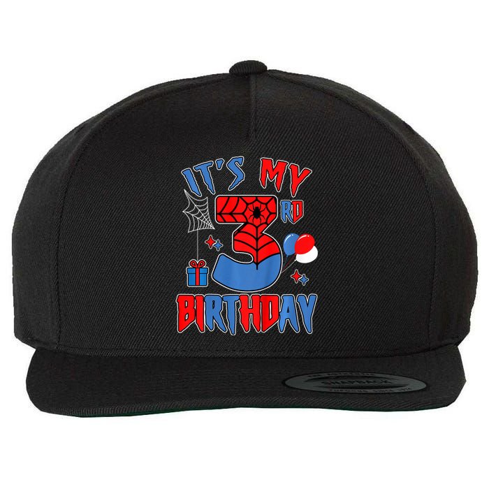 3rd Birthday Spider Web Theme Party Three 3 Year Bday Wool Snapback Cap