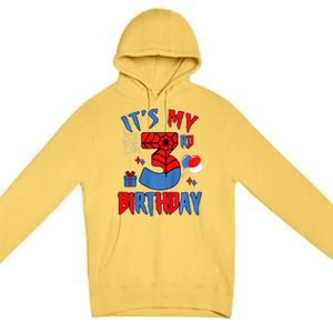 3rd Birthday Spider Web Theme Party Three 3 Year Bday Premium Pullover Hoodie