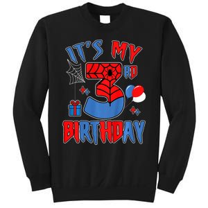 3rd Birthday Spider Web Theme Party Three 3 Year Bday Sweatshirt