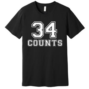 34 Counts President Donald Trump Team Biden Finally! Meme Premium T-Shirt