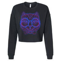 3D Trippy Cat Cropped Pullover Crew