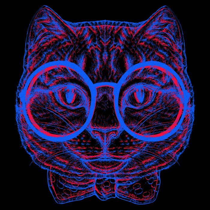 3D Trippy Cat Women's V-Neck T-Shirt
