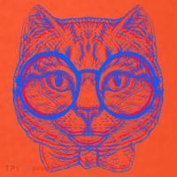 3D Trippy Cat T-Shirt