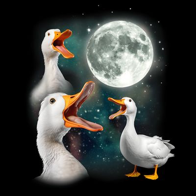 3 Ducks Howl At Moon Funny Weird Cursed Pekin Duck Lover T-Shirt