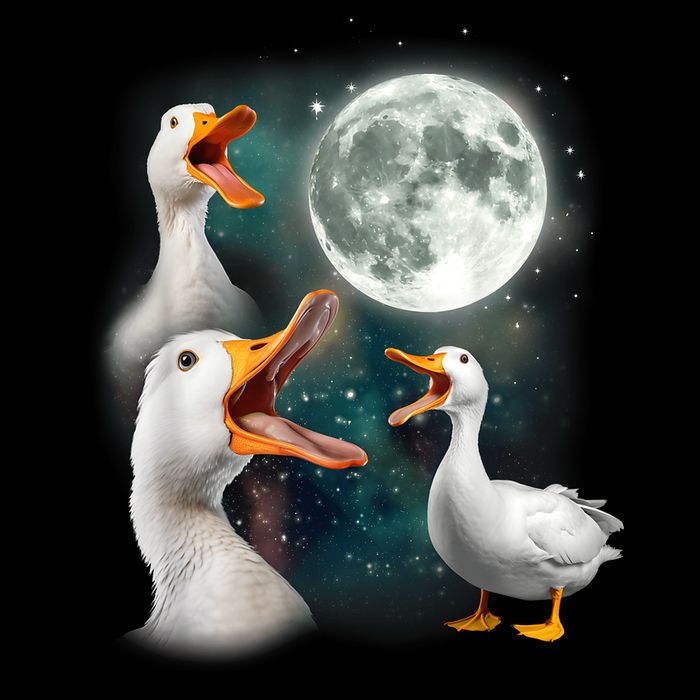 3 Ducks Howl At Moon Funny Weird Cursed Pekin Duck Lover Drawstring Bag