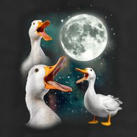 3 Ducks Howl At Moon Funny Weird Cursed Pekin Duck Lover Trucker Hat