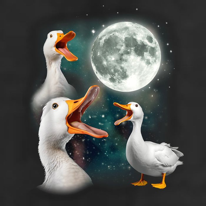 3 Ducks Howl At Moon Funny Weird Cursed Pekin Duck Lover Trucker Hat