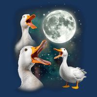 3 Ducks Howl At Moon Funny Weird Cursed Pekin Duck Lover Infant Baby Jersey Bodysuit