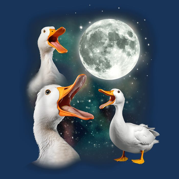 3 Ducks Howl At Moon Funny Weird Cursed Pekin Duck Lover Infant Baby Jersey Bodysuit