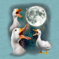 3 Ducks Howl At Moon Funny Weird Cursed Pekin Duck Lover Sueded Cloud Jersey T-Shirt