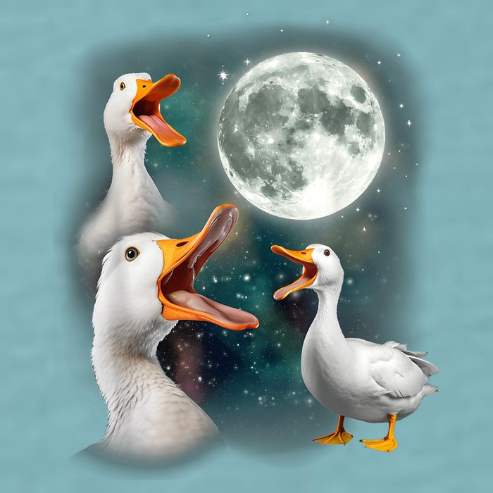 3 Ducks Howl At Moon Funny Weird Cursed Pekin Duck Lover Sueded Cloud Jersey T-Shirt