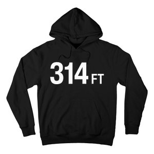 314 Ft Hoodie