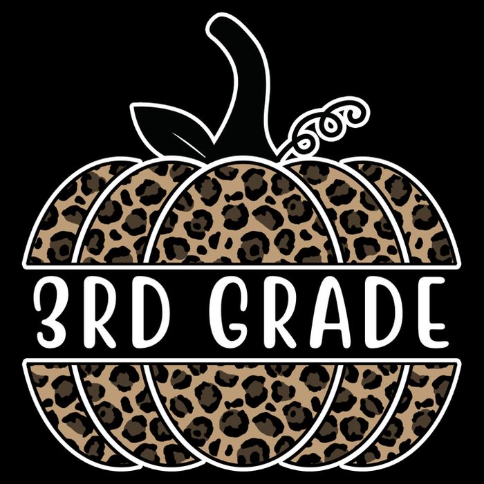 3rd Grade Leopard Pumpkin 16 in Basic Backpack