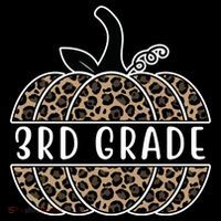 3rd Grade Leopard Pumpkin Pom Pom 12in Knit Beanie