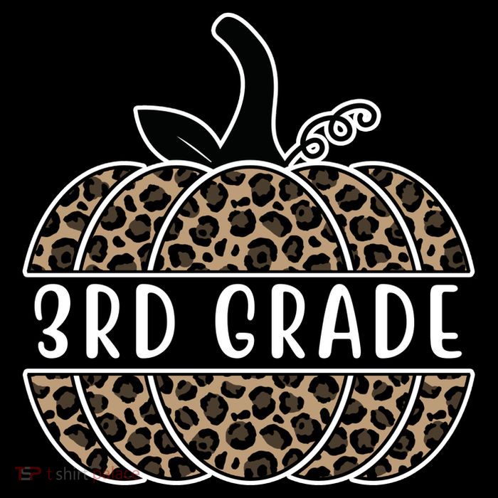 3rd Grade Leopard Pumpkin Tie-Dye T-Shirt