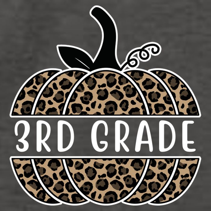 3rd Grade Leopard Pumpkin Vector Backpack