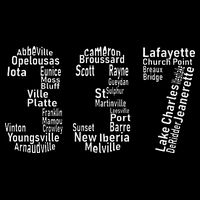 337 Lafayette Lake Charles Louisiana Acadiana Area Code 7-Panel Snapback Hat