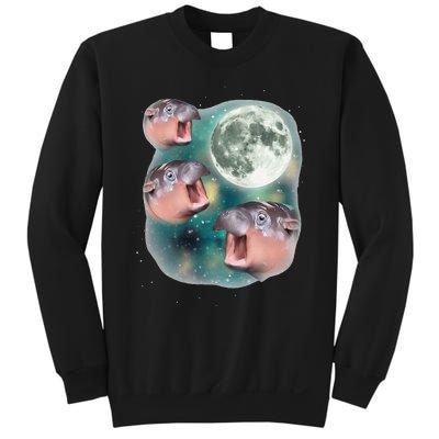 3 Moondeng Baby Hippo Meme Funny Cute Hippopotamus Animal Gift Sweatshirt