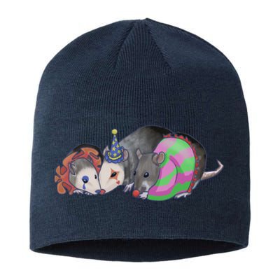 3 Mischievous Rat Sustainable Beanie