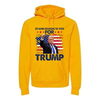 34 More Reasons To Vote For Trump Convicted Felon Trump 2024 Premium Hoodie