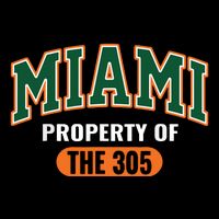 305 Miami Vibes Urban Style Miami Beach Tie-Dye T-Shirt