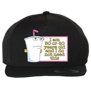 30 Or 40 Wool Snapback Cap