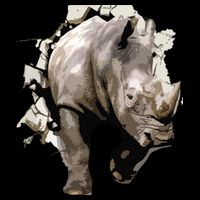 3D Rhino African Safari Animal Rhinoceros Tee 16 in Basic Backpack