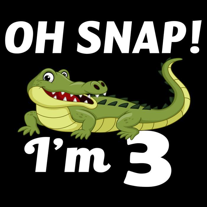 3rd Birthday Oh Snap Im 3 City Backpack