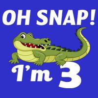 3rd Birthday Oh Snap Im 3 Visor