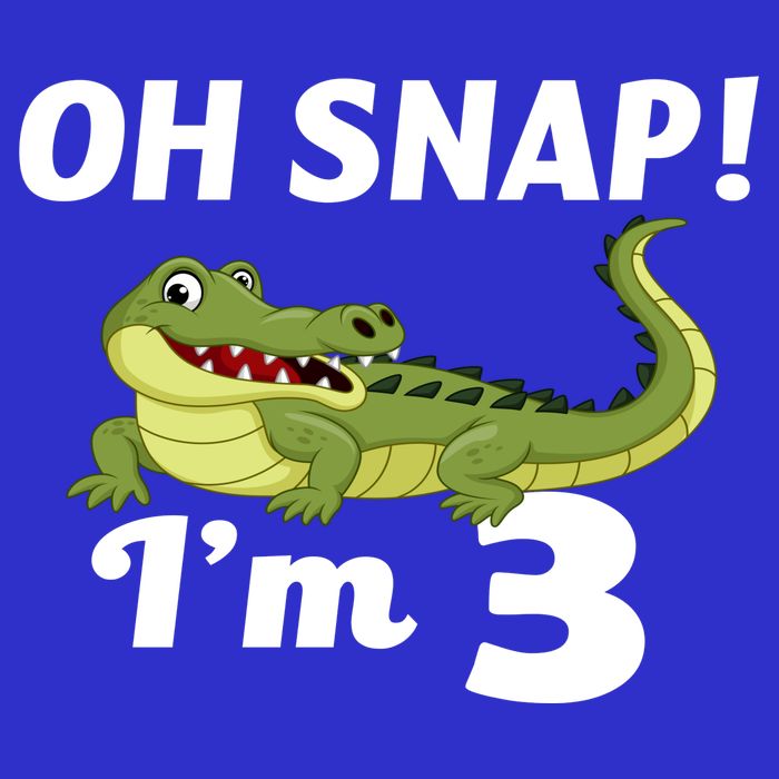 3rd Birthday Oh Snap Im 3 Visor