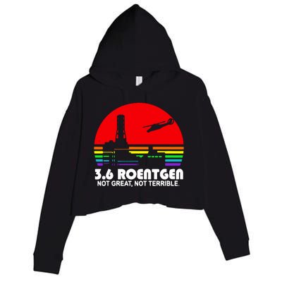 3.6 Roentgen Not Great Not Terrible Crop Fleece Hoodie