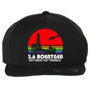 3.6 Roentgen Not Great Not Terrible Wool Snapback Cap