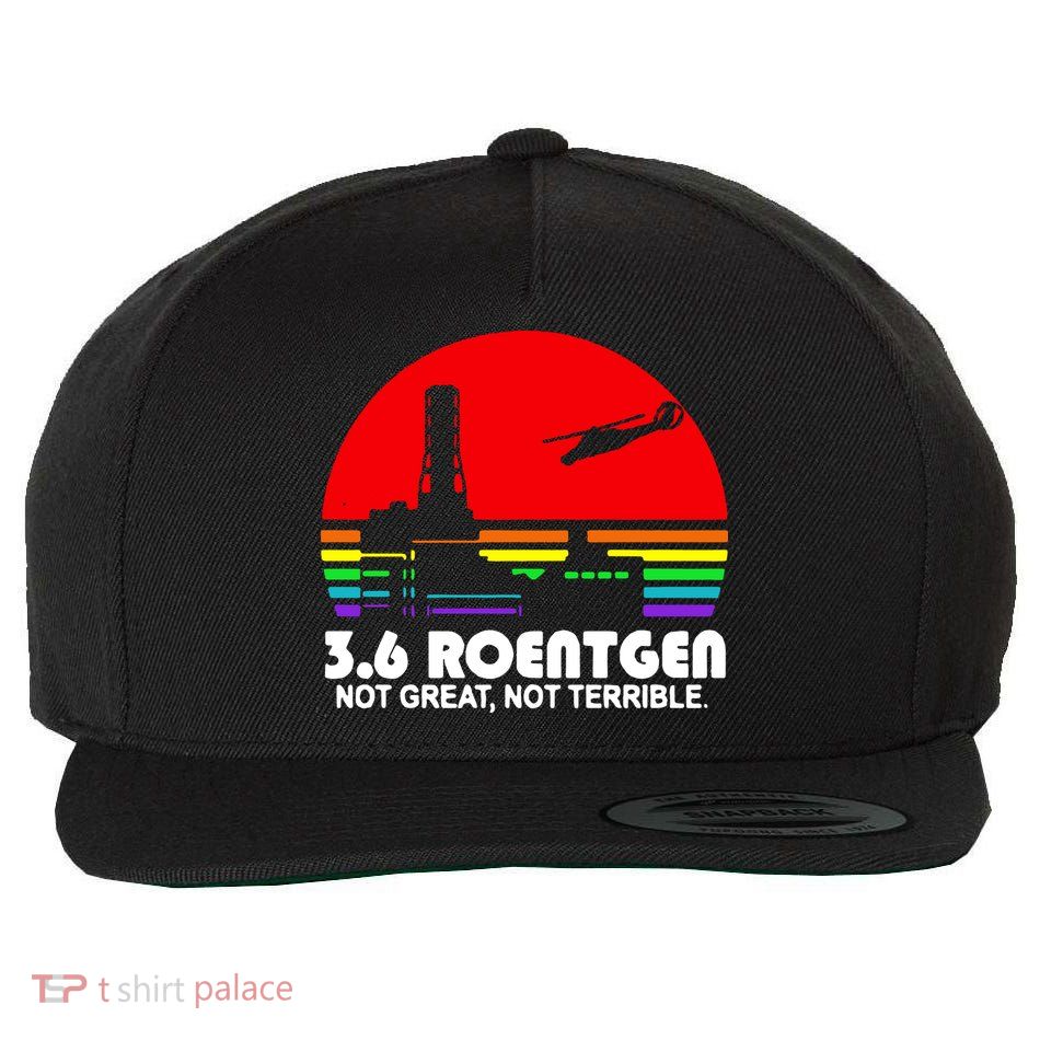 3.6 Roentgen Not Great Not Terrible Wool Snapback Cap