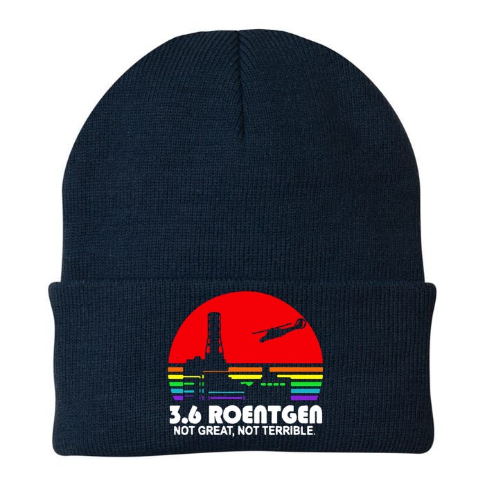 3.6 Roentgen Not Great Not Terrible Knit Cap Winter Beanie