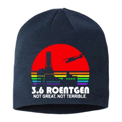 3.6 Roentgen Not Great Not Terrible Sustainable Beanie