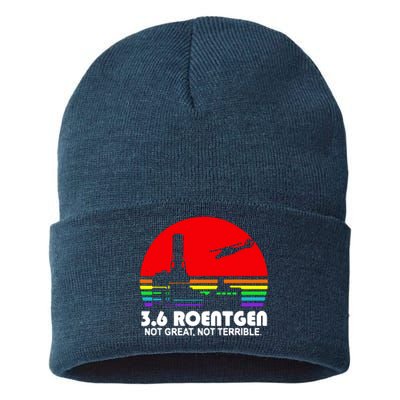 3.6 Roentgen Not Great Not Terrible Sustainable Knit Beanie