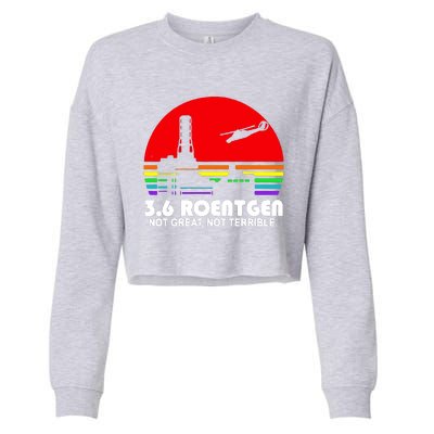 3.6 Roentgen Not Great Not Terrible Cropped Pullover Crew