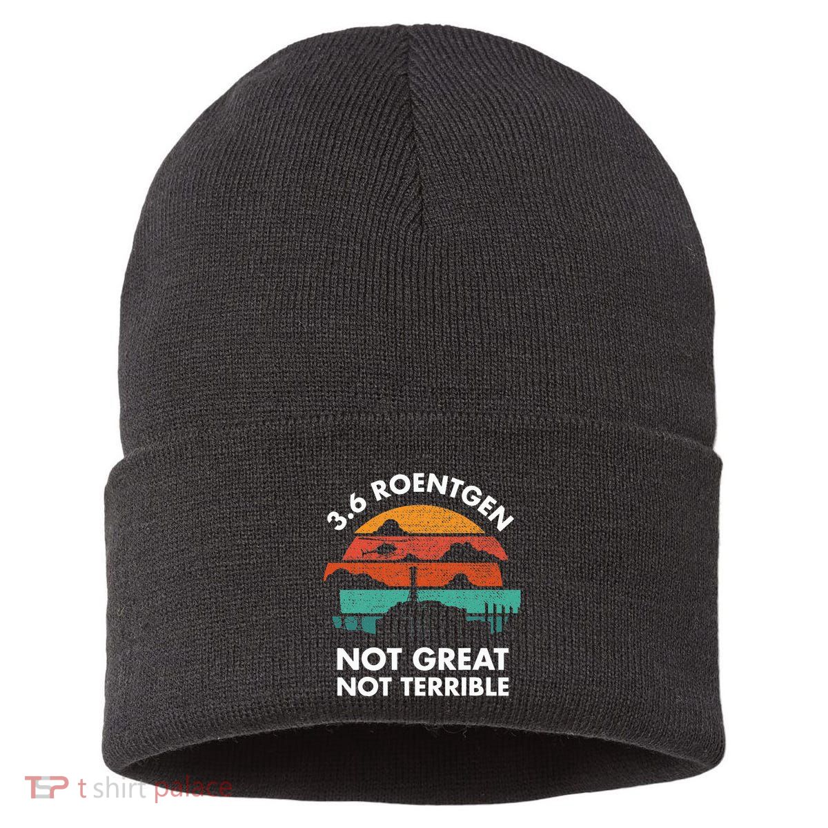 3.6 Roentgen Not Great Not Terrible Chernobyl Disaster Sustainable Knit Beanie