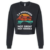 3.6 Roentgen Not Great Not Terrible Chernobyl Disaster Cropped Pullover Crew