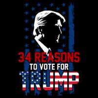 34 Reasons To Vote For Trump Bag