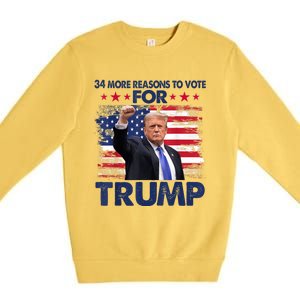 34 Reasons To Vote Convicted Felon 2024 Premium Crewneck Sweatshirt