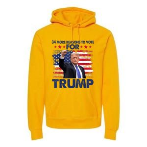 34 Reasons To Vote Convicted Felon 2024 Premium Hoodie